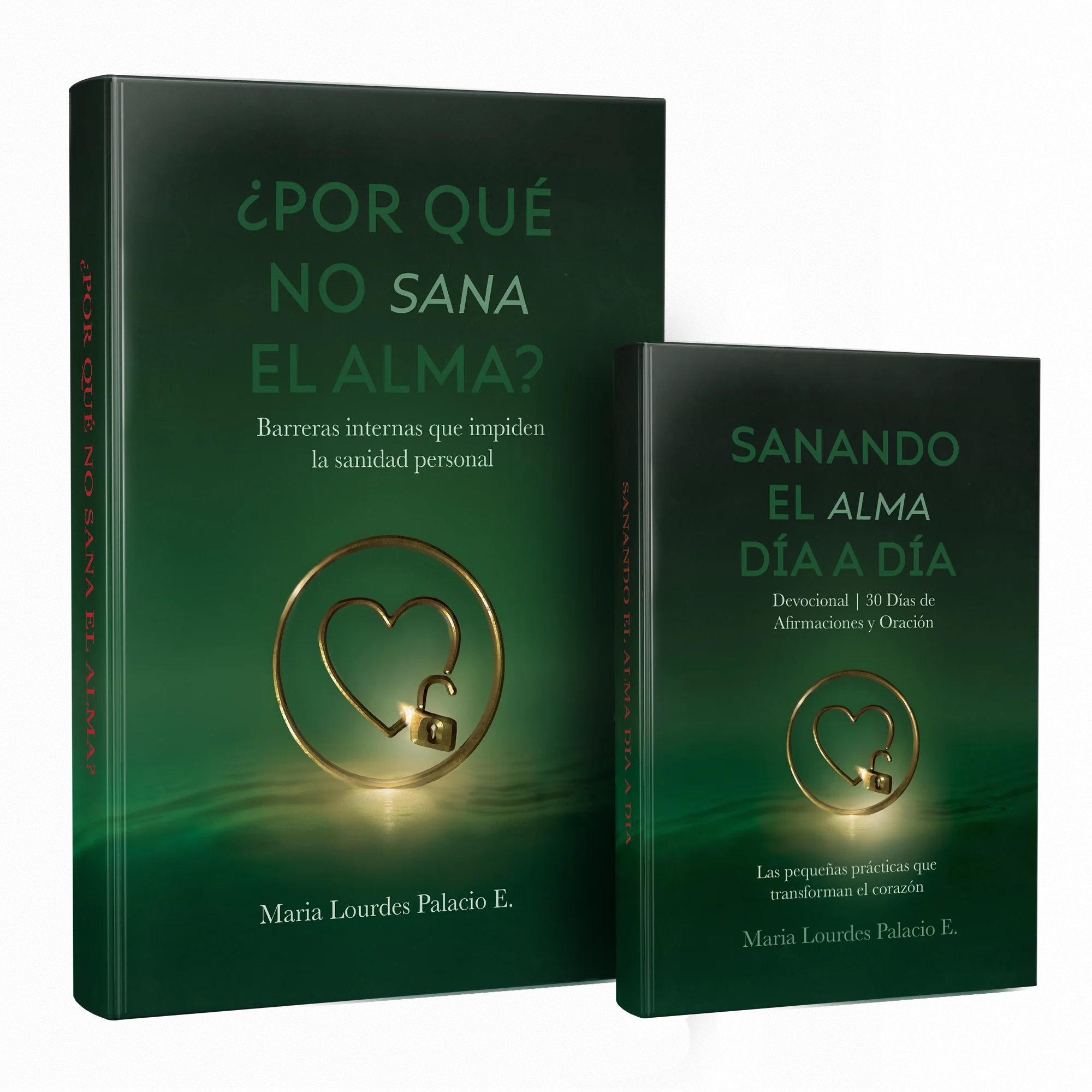 Portada del libro: ¿Por qué no sana el alma? por María Lourdes Palacio